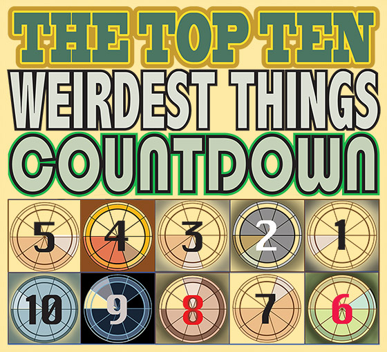 The Top 10 Weirdest Things