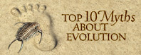 Top 10 Myths About Evolution