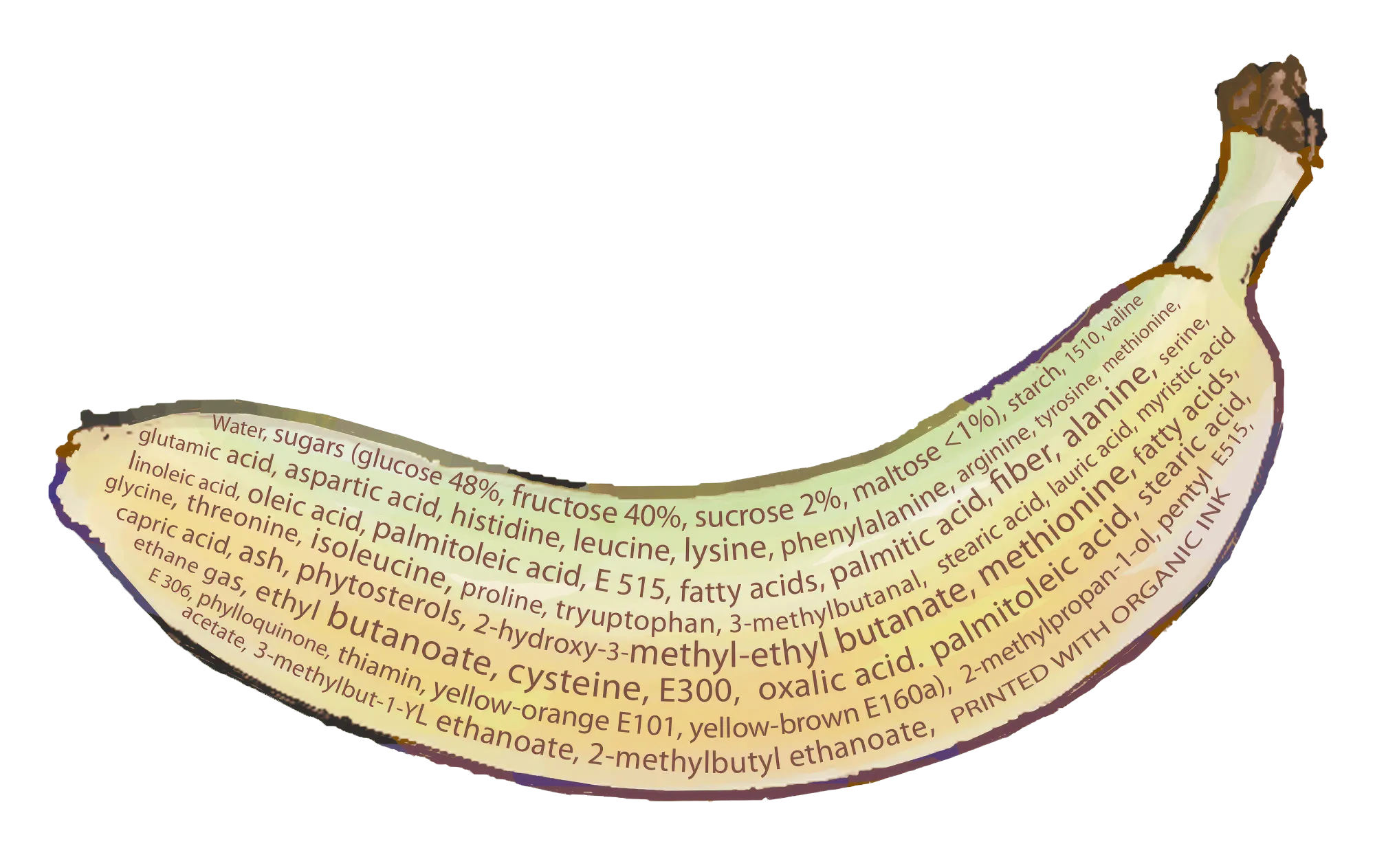Decoding Food Labels