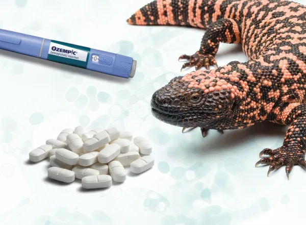 A Skeptic’s Guide to Ozempic and Other GLP-1 Agonists