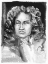 Newton sketch