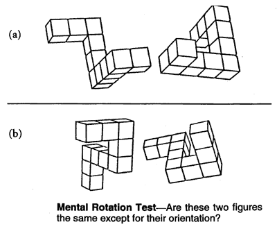 Mental Rotation Test