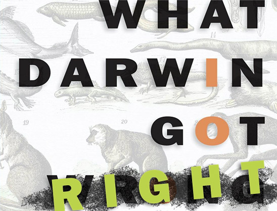 What Darwin Got RIght (modified version of the book cover: "What Darwin Got Wrong")