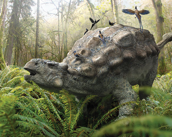 Spread from the kids' book 'Ankylosaur Attack' by Daniel Loxton
