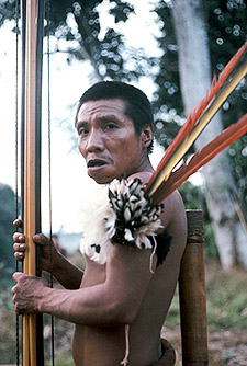 Yanomamo dance (photo courtesy of Chagnon)