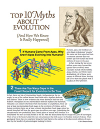 Top 10 Myths About Evolution (page 1)