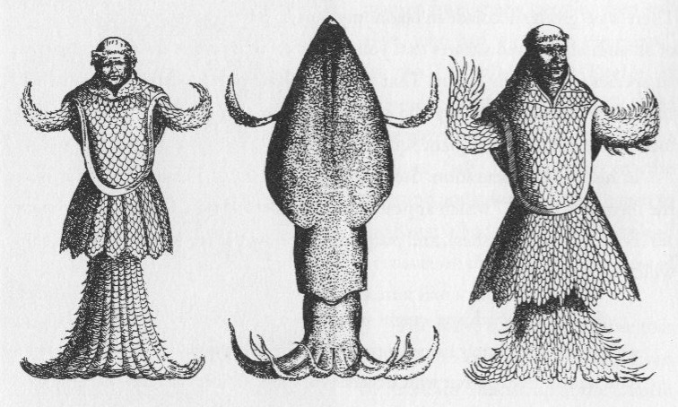 Japetus Steenstrup Sea Monks