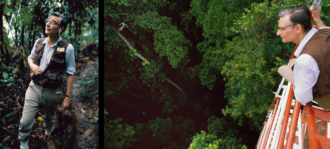 Photographs of E. O. Wilson in Panama, taken by Mark Moffett in 1990 (Copyright Minden Pictures. All rights reserved.)