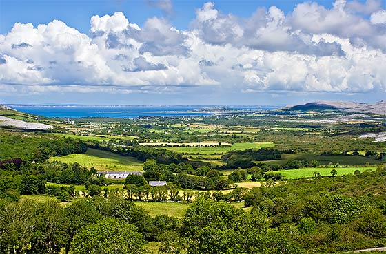 Irish Landscape (Burren)