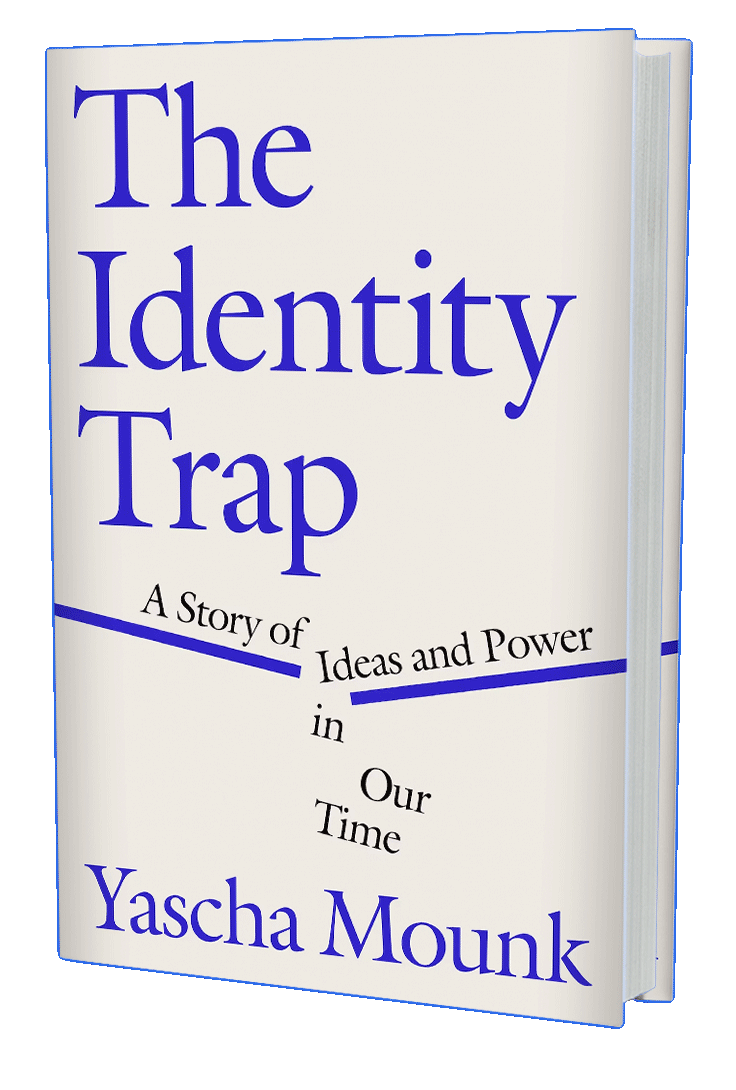 The Identity Trap: A Story of Ideas and Power in Our Time (book cover)