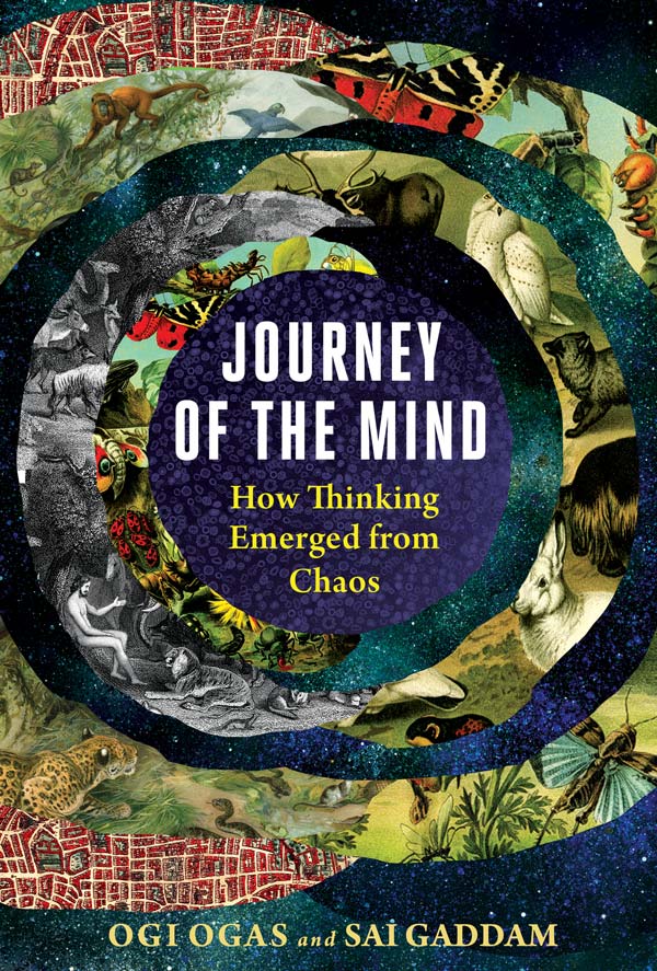 Journey of the Mind: How Thinking Emerged from Chaos (book cover)