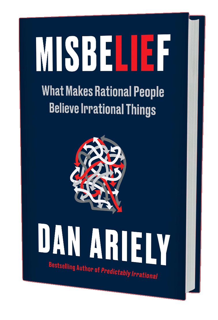 Misbelief: What Makes Rational People Believe Irrational Things (book cover)