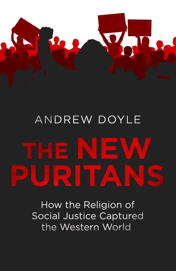 The New Puritans (book cover)