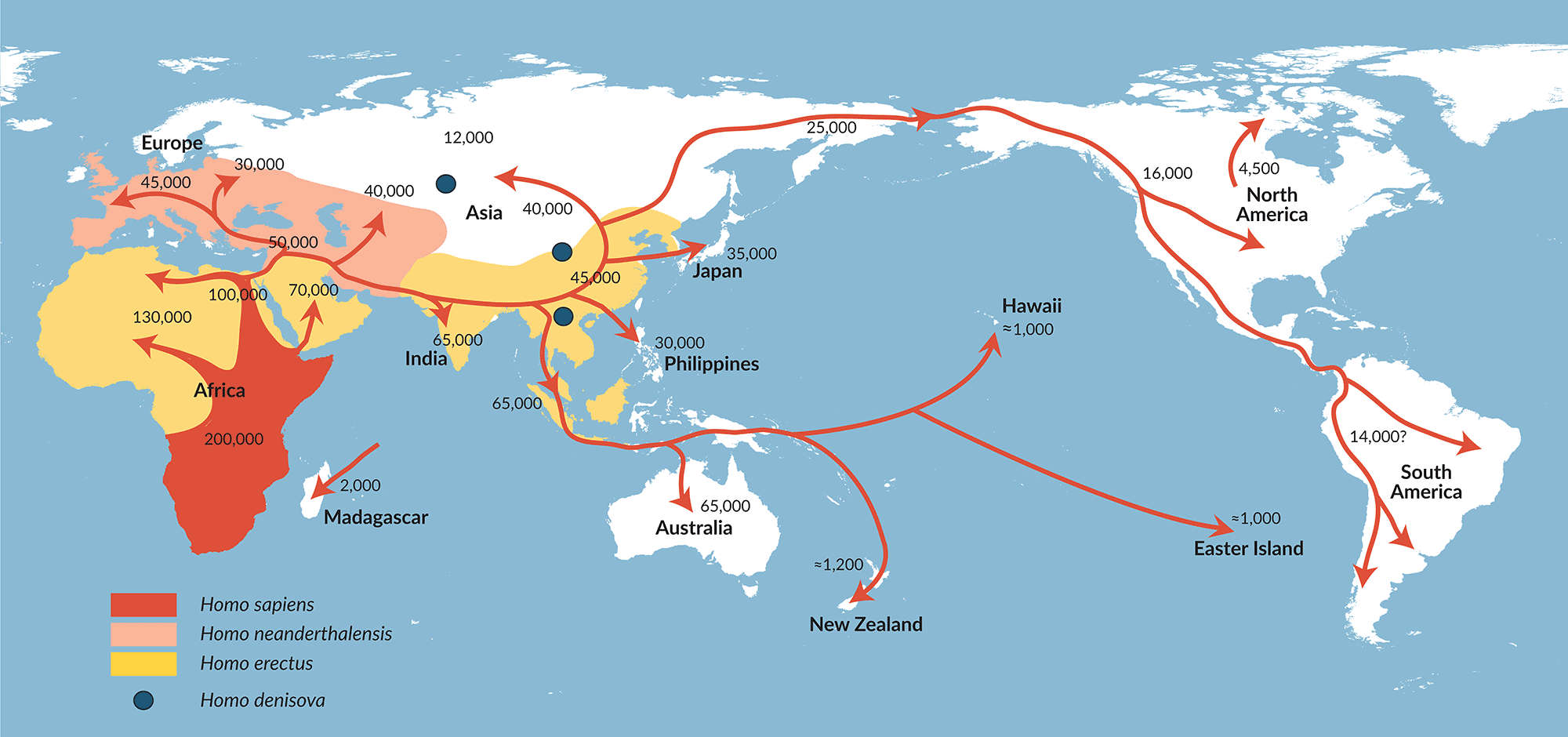 Estimations of the times at which Homo sapiens reached various areas of the world