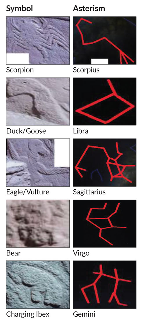 Examples of supposed correlation between the animals carved on Pillar 43 at Göbekli Tepe compared to the asterisms in the sky 12,800 years ago