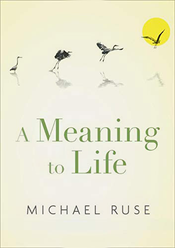 A Meaning to Life (book cover)