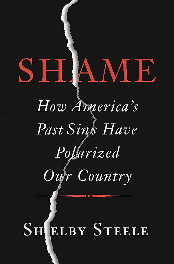 Shame: How America's Past Sins Have Polarized Our Country (book cover)
