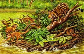 Rafts of floating vegetation might have carried numerous animals long distances. (Image courtesy D. Naish).